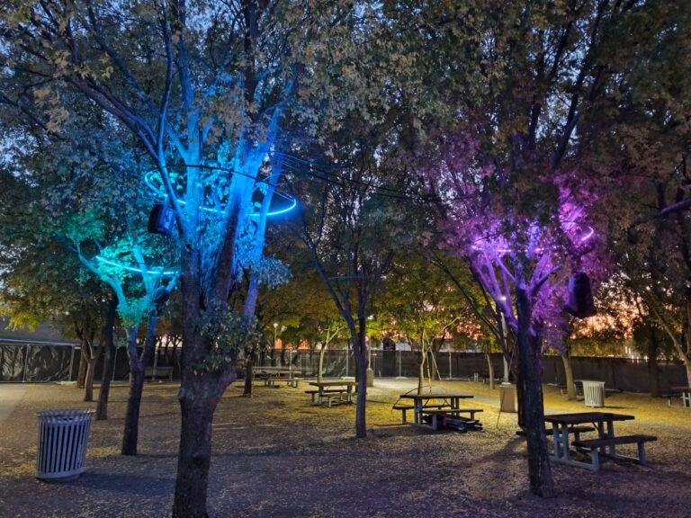 Whispering Woodlands at Exploration Place